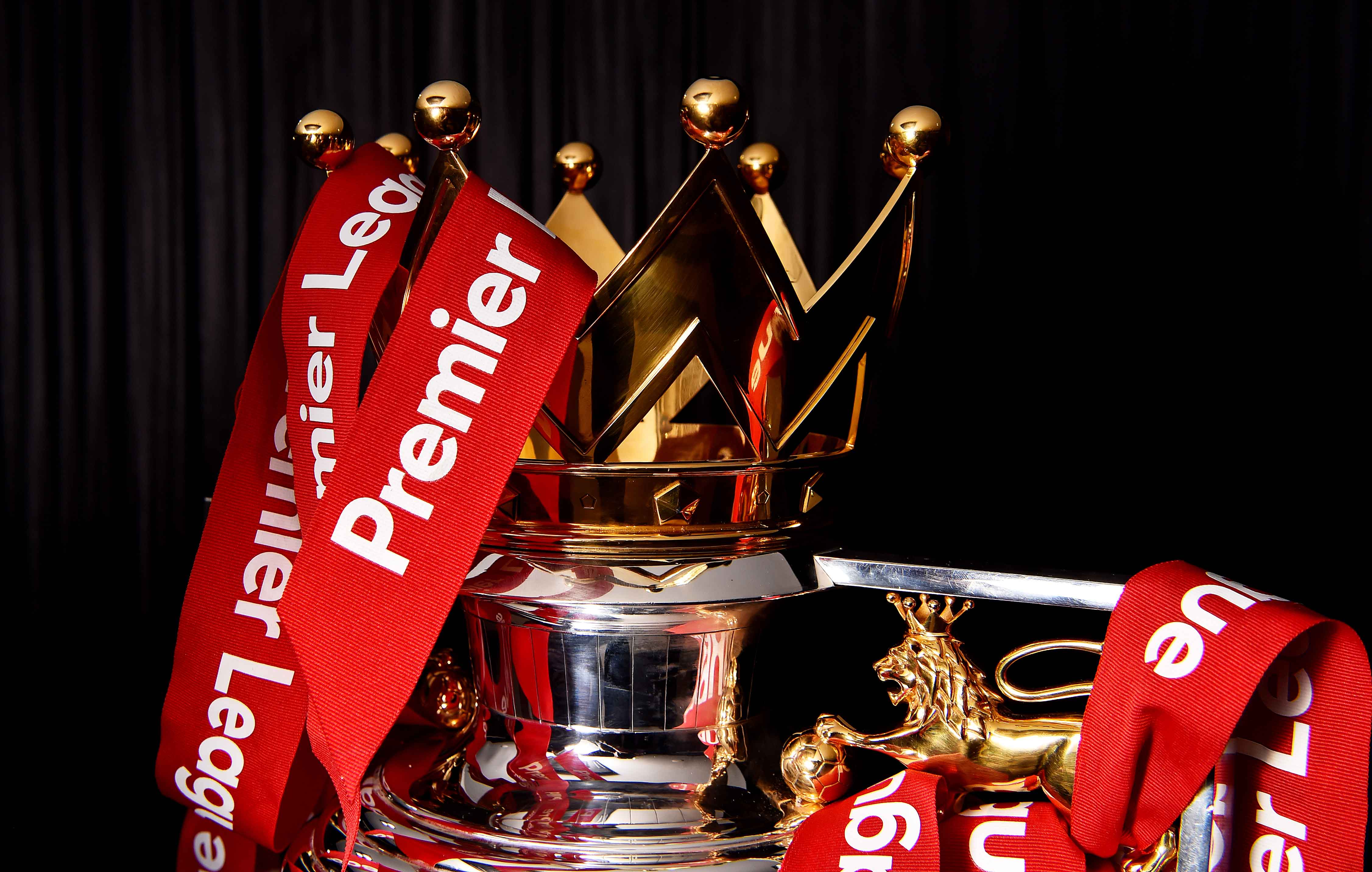 职业生涯的 职业生涯的